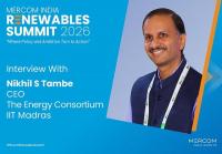 India Can Build a Domestic Long-Duration Energy Storage Industry: Interview