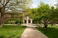 Sustain your practice through professional development this fall