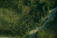 State Forest carbon offsets “on pause”