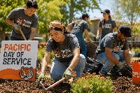 Pacific Students to Fan Out Across Stockton for Community Day of Service