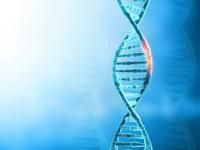 Phoenix Nest gets SBIR funding for JLK-247