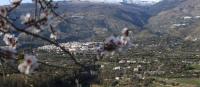 Finnish man, 52, burns himself to death in Granada ‘hippie’ hotspot