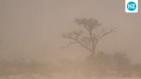 Phoenix dust storm today: Haboob 'round 2' hits Arizona city; scary visuals emerge - latest update