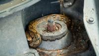 Parked car in Greece concealed a snake by the pedals, and the rescue took a grim turn