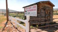 Intense summer heat takes toll on Bear Lake raspberry crop ahead of Raspberry Days