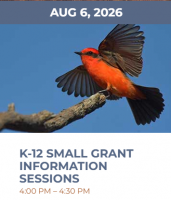 Arizona Game and Fish offers grants for K-12 wildlife education projects