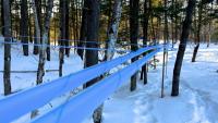 🔒Maine’s changing maple industry a ‘masterclass’ in adaptation 