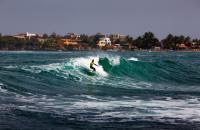 Big Waves Meet Biodiversity: Why Surfing Paradises Could Offer a Key Opportunity for Marine Conservation