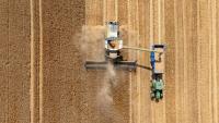 As the climate hurts Britain’s wheat farmers, it’s time to adapt
