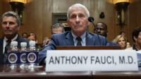‘All He Had to Do Was Tell the Truth’: Senate Committee Votes to Hold Fauci in Contempt of Congress