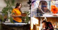 UT launches new degrees to prepare students for real-world impact