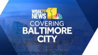 West Baltimore couple pleads for help finding stolen dog