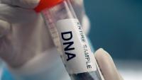 Scientists Trained An AI Model In DNA—And It Invented 16 New Viruses