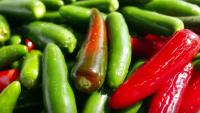U.S. investigates salmonella outbreak associated with jalapeños imported from Mexico