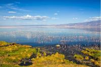 New Engaresero airport set to transform Lake Natron tourism