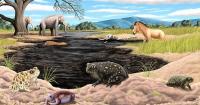 Scientists Discover New Ice Age Toad Species Hidden in La Brea Tar Pits