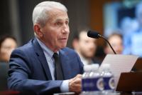 Senate committee votes to hold Fauci in contempt of Congress after he refuses Covid questions