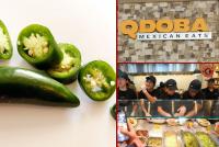 Multi-state Salmonella outbreak linked to imported jalapeño peppers, sickening at least 345 people and leading to 36 hospitalizations