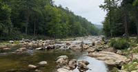 ICE says Forest Service requested cooperation in Wilson Creek operation. Here’s how law enforcement in national forests works