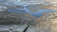Russia's Arctic topped 90 degrees as stations near the Arctic Circle smashed heat records