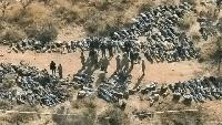 FACT-CHECK: Viral images claiming over 300 bandits killed in Zamfara are from South Africa