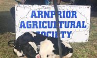 What's good in the Valley? Valley Agricultural Festival returns with farm fun for all ages
