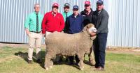 EP stud cracks $3k average in best South Australian ram sale to date