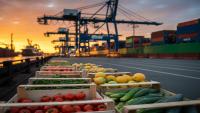Fresh Produce Terminal redevelopment project, South Africa