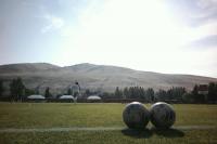 Your Complete August Guide to Montana Grizzlies Sports