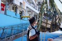 Portuguese Arrest Two Stowaways and One Crewmember in Large Cocaine Seizure