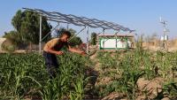 Agrivoltaic project targets desert farming
