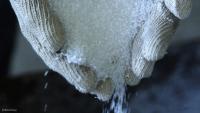 Fertiliser disruptions present food security risks
