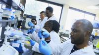 Investing in Africa’s Food Future: How CIMMYT and Partners are cultivating the next generation of plant breeders