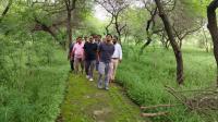 Curbing Soil Erosion: Indore Municipal Corporation Banks On Bamboo
