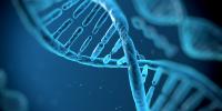 DNA technology helps solve decades-old cold case in Santa Cruz County