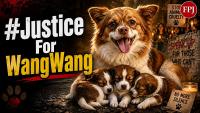 Why Is #JusticeForWangWang Trending? Mother Dog Burned Alive After Puppies Were Brutally Killed By Chinese Minors, Sparking Global Outrage