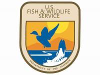 Fish & Wildlife rule change could affect duck breeding habitat