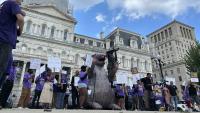 Baltimore security officers strike over heat and work conditions