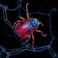 Scientists map ribosome architecture and rRNA modifications in tick-borne parasite Babesia divergens