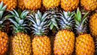 Australian pineapple growers oppose imports from India, Indonesia over biosecurity, economic fears