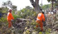 In the Last 24 Hours, Sinaproc Responded to 20 Panama Emergencies Due to Rain and Wind