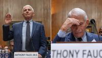 Senate Committee holds Anthony Fauci in contempt after refusing to answer questions on COVID pandemic