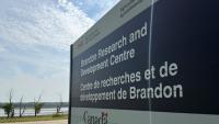 Brandon agricultural research station cleaning up, drying out after flooding drowns crops