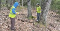 Bar Harbor researchers asks for community help for study of Black Bears in Acadia National Park