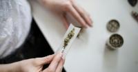 New Study: 21 Million Americans Now Use Cannabis Daily, Despite the Risks