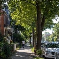 Chicago Neighborhoods That Lost Tree Cover Saw Higher Death Rates, and Modeling Suggests Planting Could Reverse Some of It