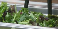 Nebraska health departments track cases as multiple food-borne outbreaks reported nationwide