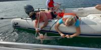First-known blacktip shark nursery discovered in Hawaiian waters