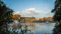 Prestigious tennis club sparks outrage by secretly culling geese family because they were 'making courts messy'