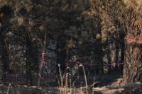 Man charged with arson in Washington state allegedly planned wildfire for weeks